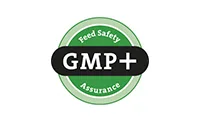 gmp-numidia