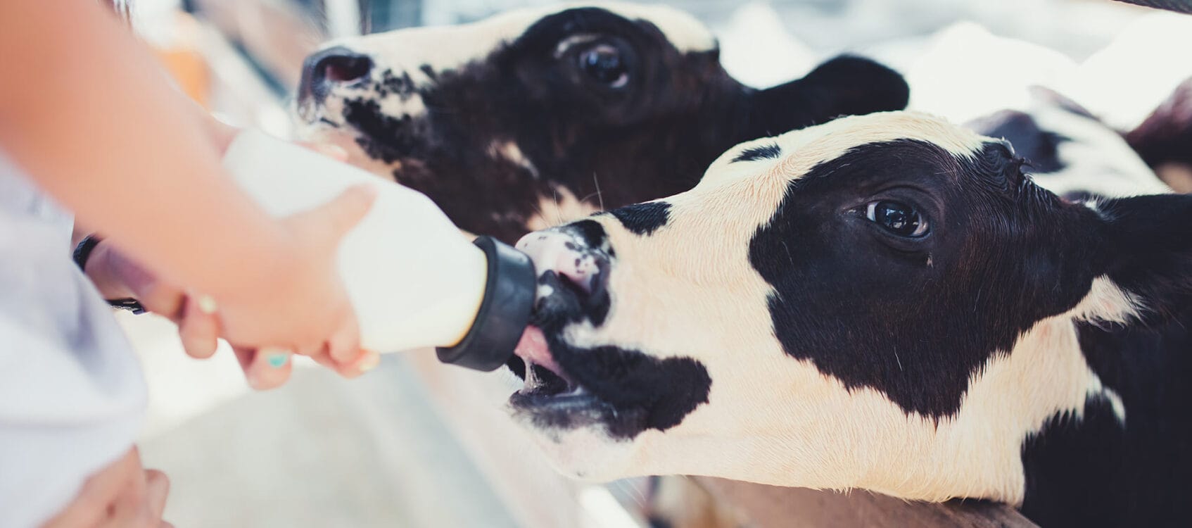 PRODUCT APPLICATIONS Numidia Your expert partner in dairy