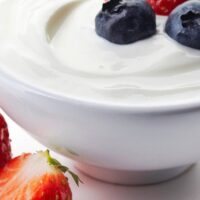fermented-product