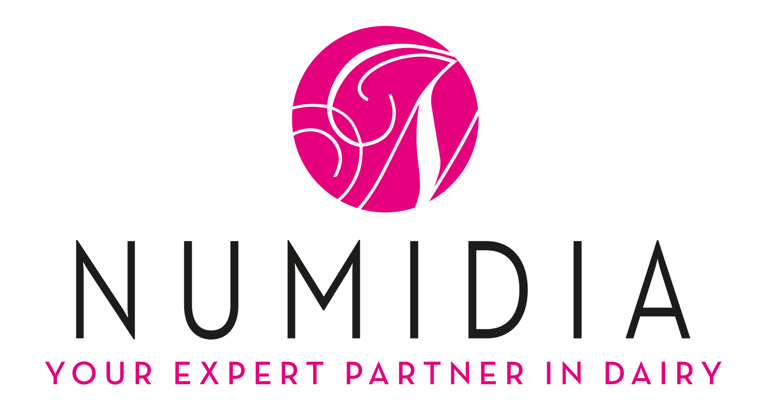 Numidia – Your expert partner in dairy